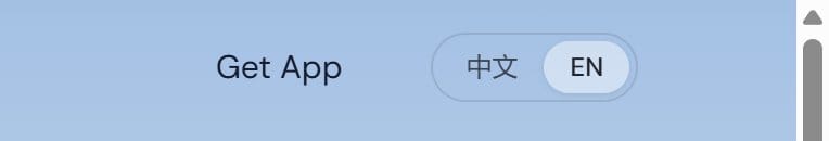 中文 and EN language buttons on the DeepSeek website